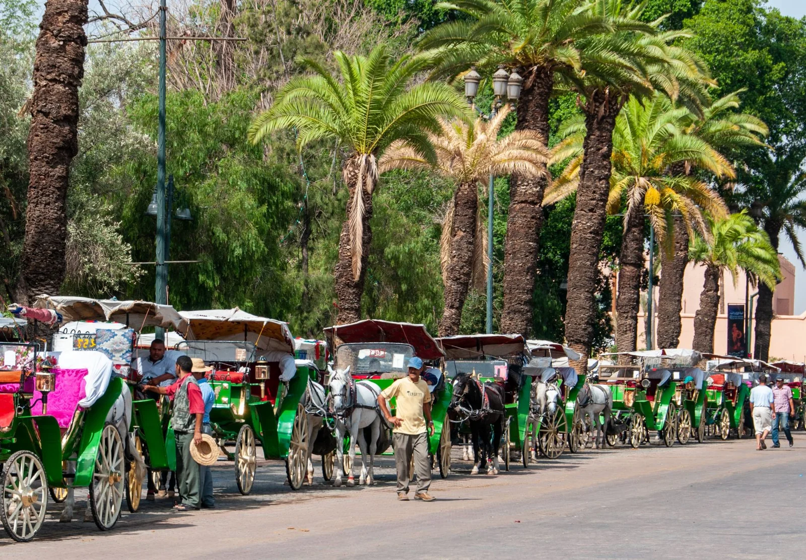 Marrakech — photo 6